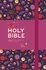 NIV compact notebook bible multicolor hardcover_