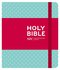 NIV journaling bible mint/polka hardcover_