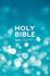 NIV popular bible blue hardcover_